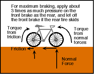 Forces and torques on a bicylce during braking
