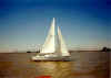 sailing.jpg (27758 bytes)